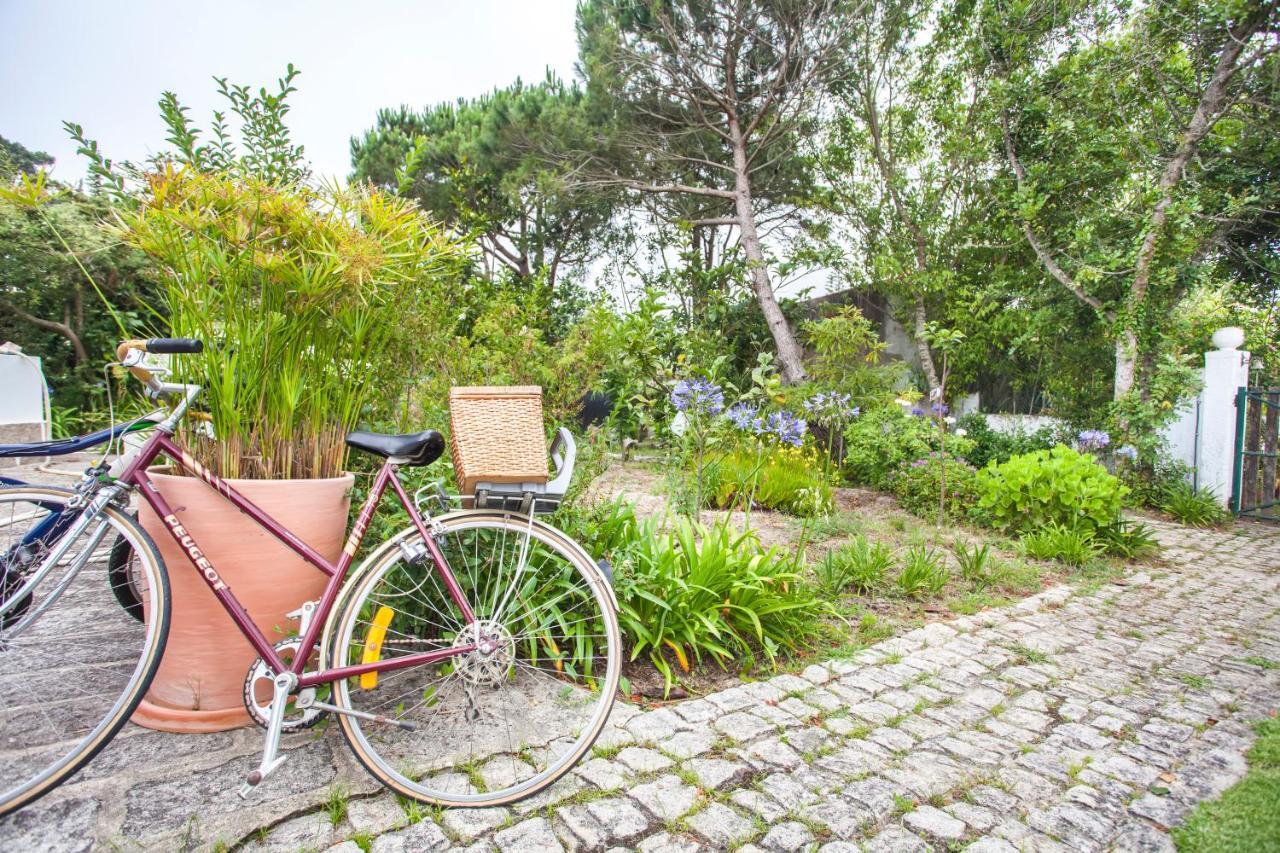 Beautiful Country House&Romantic Garden Sintra Exterior foto